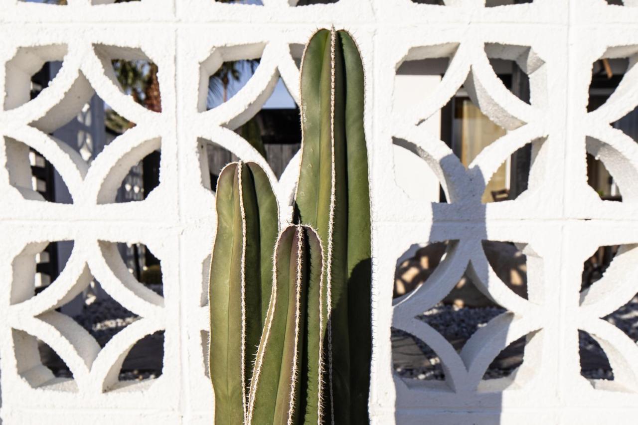 Mid-Century Modern Home In Beautiful La Quinta Εξωτερικό φωτογραφία